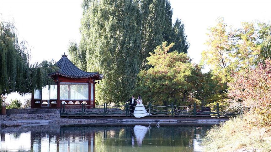Botanik park evlenecek çiftlerin 'fotoğraf stüdyosu' oldu
