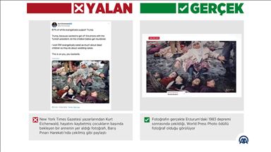 ABD'li yazardan 'ödüllü fotoğrafla' harekat aleyhinde manipülasyon çabası