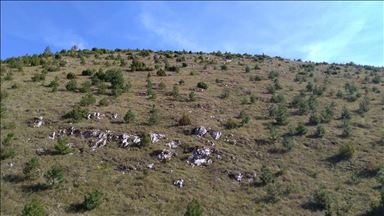 Na Bjelašnici pošumljeno 165 hektara površine: Tokom 20 godina zasaditi oko 20 miliona sadnica