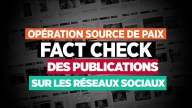 Opération Source de Paix, Fact Check des publications sur les réseaux sociaux
