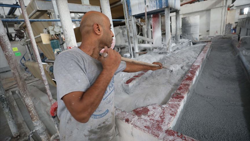 فلسطين.. أول مصنع لإنتاج المناديل الورقية من سعف النخيل (تقرير)