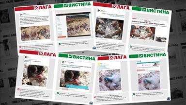 Поддржувачи на терористите со потресни фотографии шират дезинформации за операцијата Извор на мирот