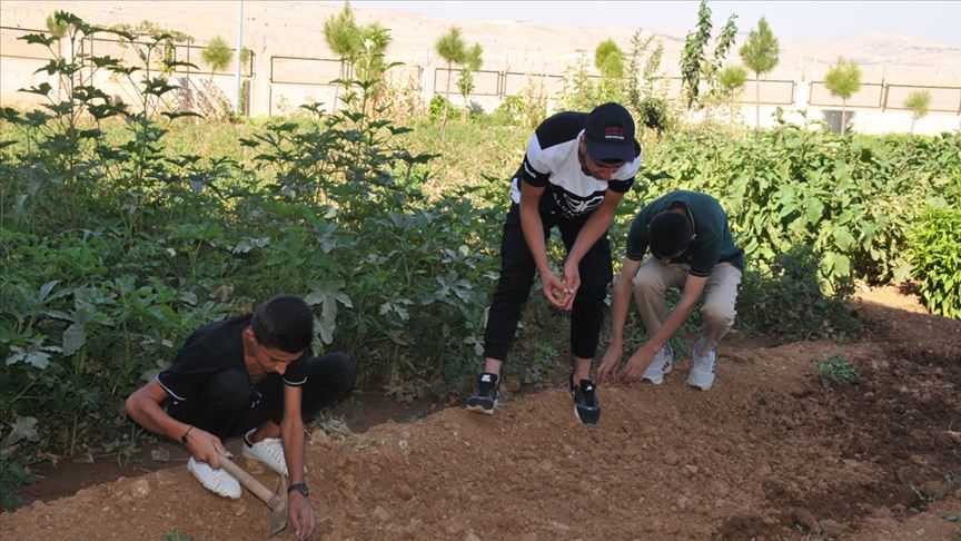 Öğrencilerden okul ve pansiyon bahçesinde meyve sebze üretimi