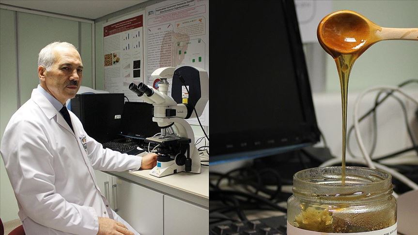 Kanser Hucrelerinin Yeni Silahi Siyah Bal