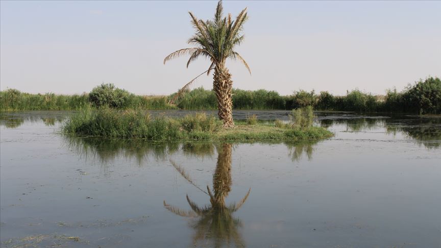 "محمية الأزرق" بالأردن.. سحر الطبيعة المائية وسط الصحراء (تقرير)