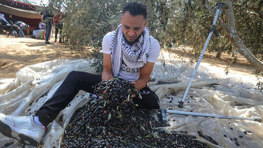 İsrail'in sakat bıraktığı Filistinlilere uzanan 'zeytin dalı'