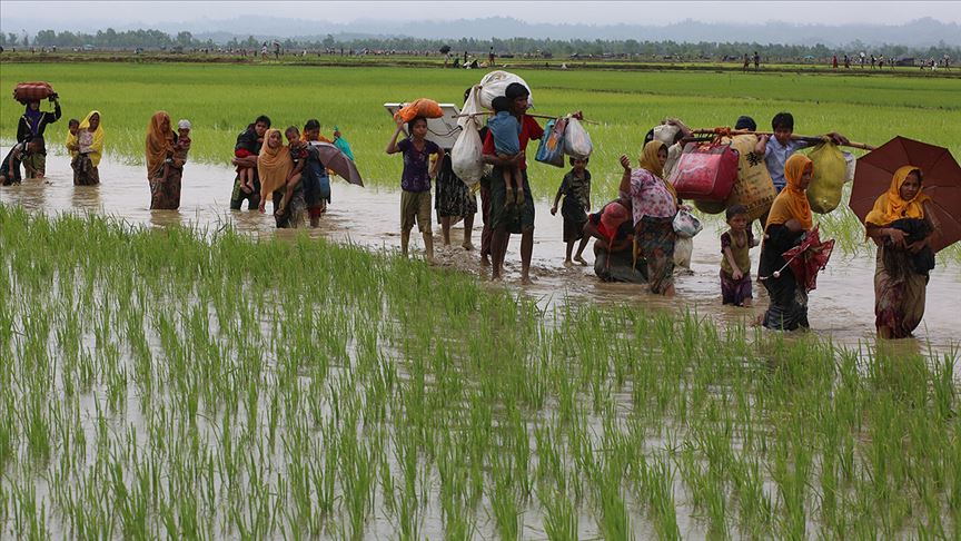 Bangladeş 100 bin Arakanlı Müslüman'ı adaya yerleştirecek