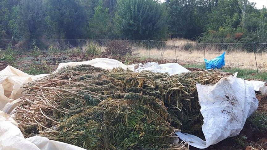 Turkey: Over 4,500 kg marijuana seized from PKK