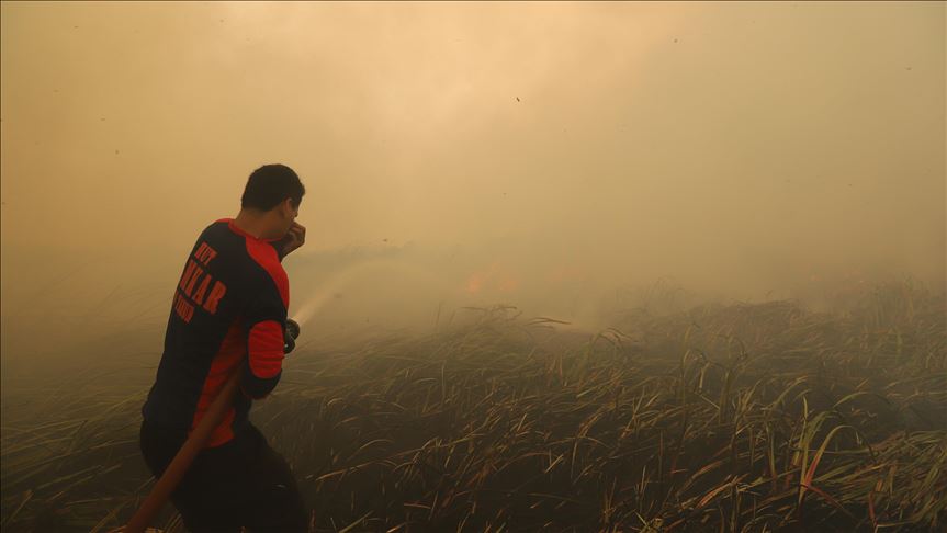 509 titik panas teridentifikasi di Sumsel, kabut asap kembali pekat