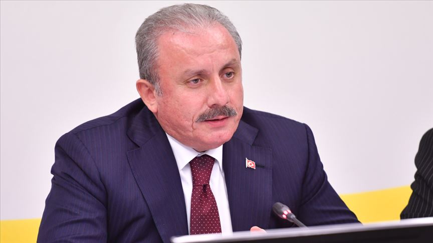 TBMM Başkanı Şentop, Strazburg'da Türk vatandaşlarıyla görüştü