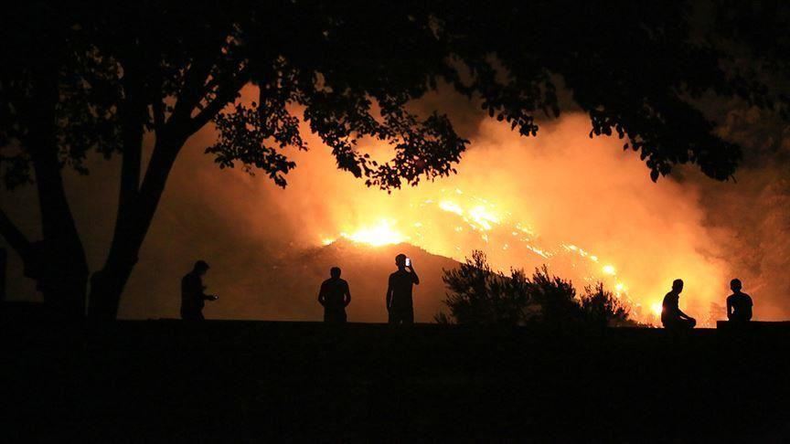 U požaru u Baja Californiji poginule dvije osobe, uništeno 35 kuća
