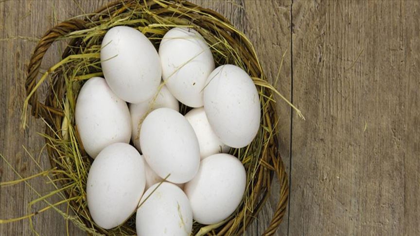 ومن البيض ما قتل.. هندي يموت قبل إكمال تحدّي الـ50 بيضة