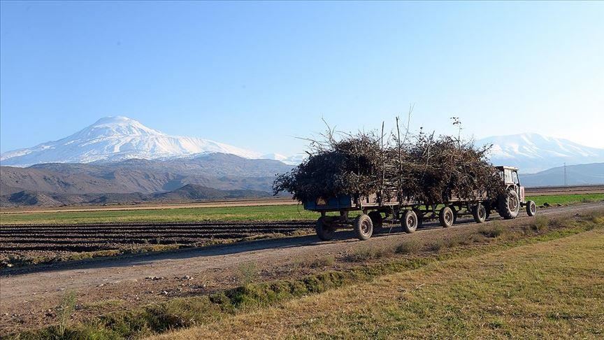 چیای ئاگری تارای بوكێنی پۆشیووه