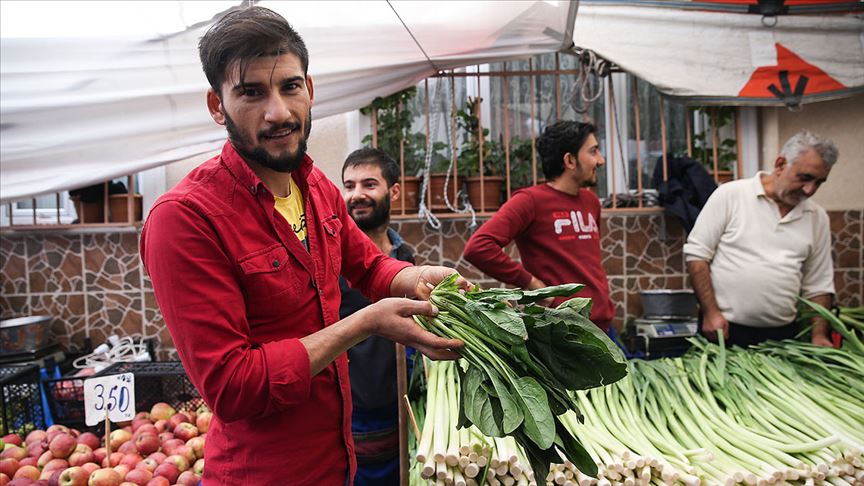 Ispanak zehirlenme vakaları üzerine zararına bile satılmıyor