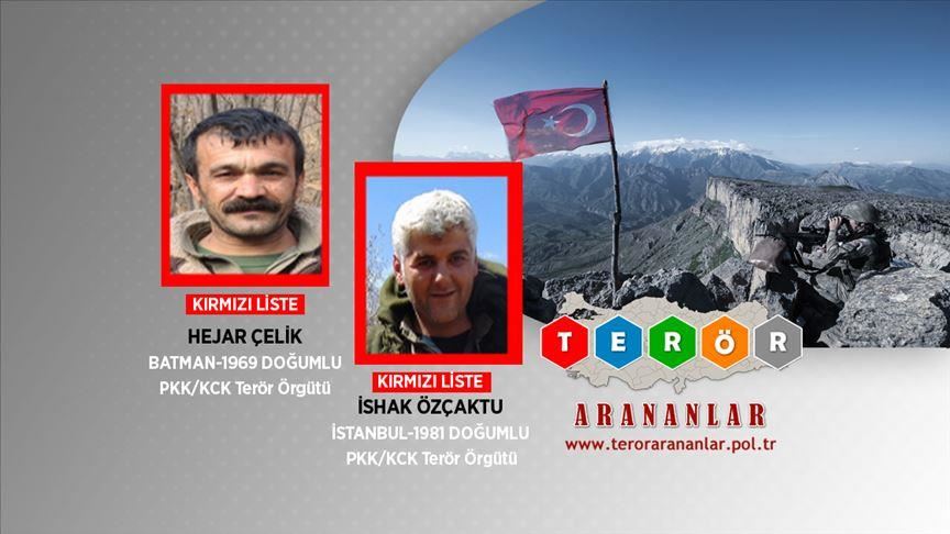 2 PKK terrorists neutralized on Turkey’s wanted list 