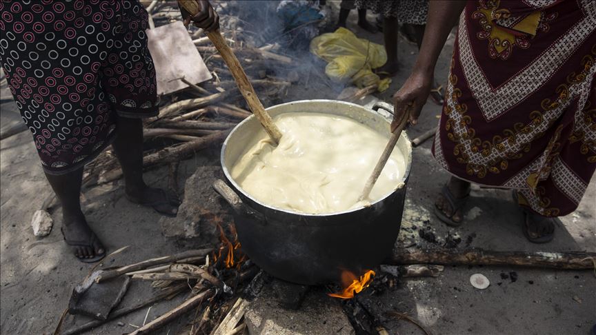 Red Cross sounds alarm on food insecurity in Mozambique