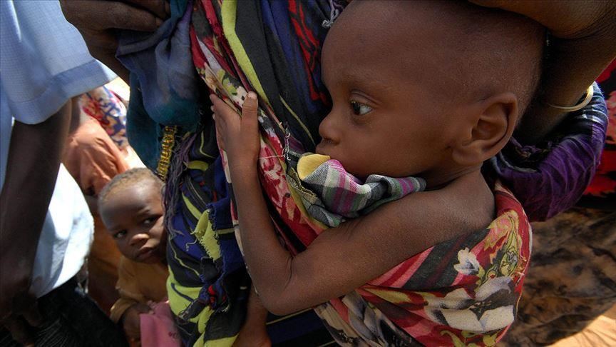 بیش از 50 میلیون نفر در آفریقا با خطر گرسنگی روبرو هستند