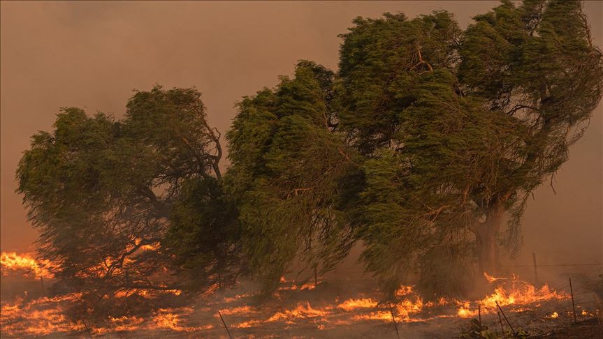 Al menos dos muertos por incendios forestales que afectan sureste de Australia