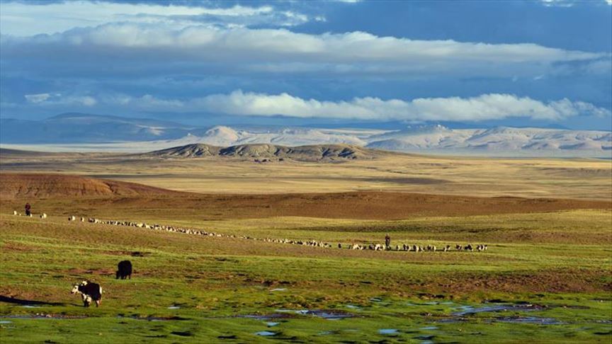 Kina želi izgraditi svoj Yellowstone na Tibetanskoj visoravni