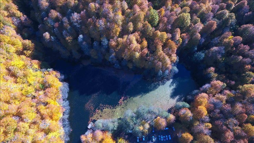 Најубавите бои на есента во Турција низ објективот на фоторепортерот на АА