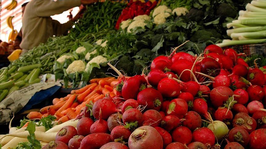Kışlık sebzede yerli hat ve türler geliştirilecek