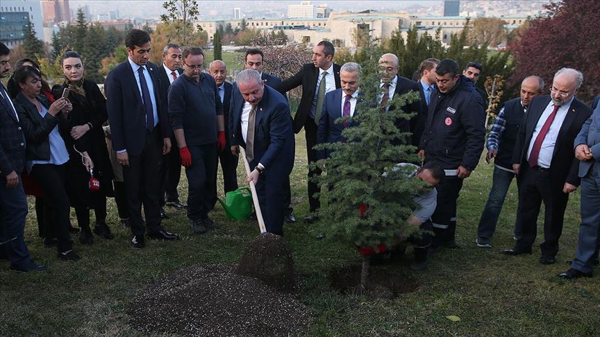 Şentop'tan '11 Milyon Ağaç; Bugün Fidan, Yarın Nefes' kampanyasına destek