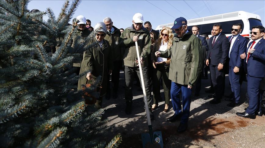 Turquía planta más de 13 millones de árboles durante campaña ecológica