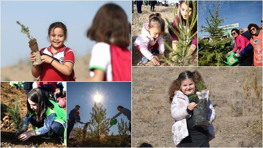 Public planting 11M trees for greener Turkey: President