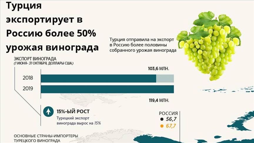 ИНФОГРАФИКА - Турция экспортирует в Россию более 50% урожая винограда 