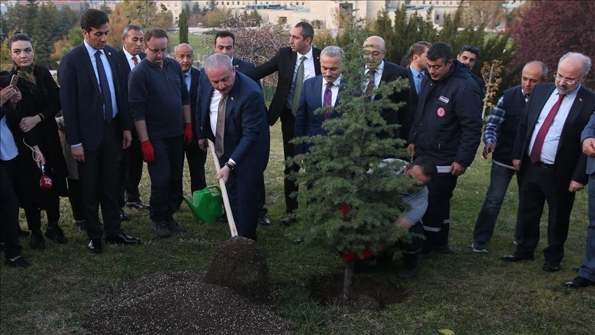 Guinness World Record: Turki tanam pohon terbanyak dalam satu jam 