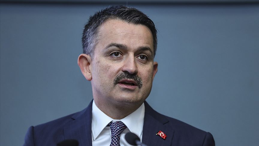 Karadeniz'de avlanabilir kalkan balığı kotasından en büyük pay Türkiye'ye