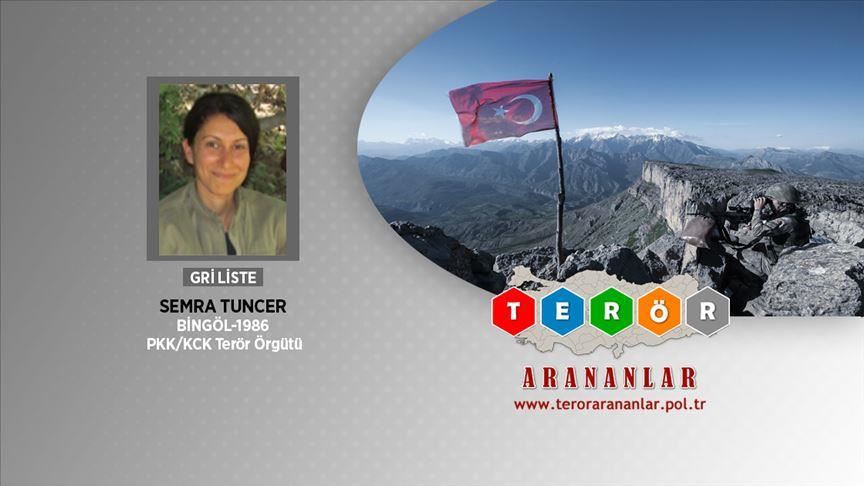 Wanted PKK terrorist caught in southeast Turkey