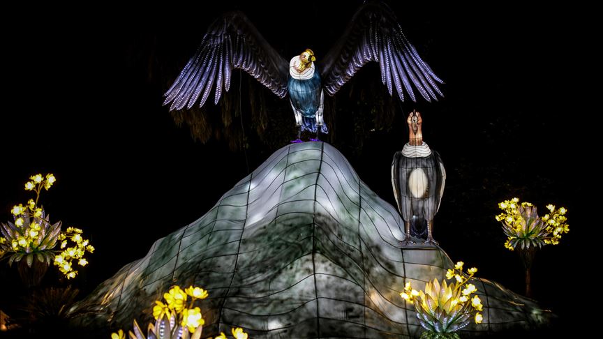 Símbolos colombianos iluminan las noches de Bogotá inspirados en milenaria tradición china