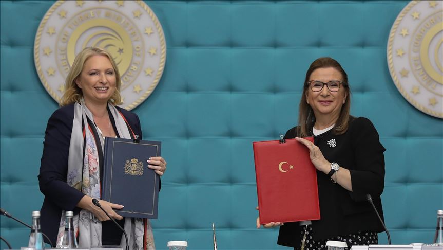 Turkey, Georgia to work on simplified customs line