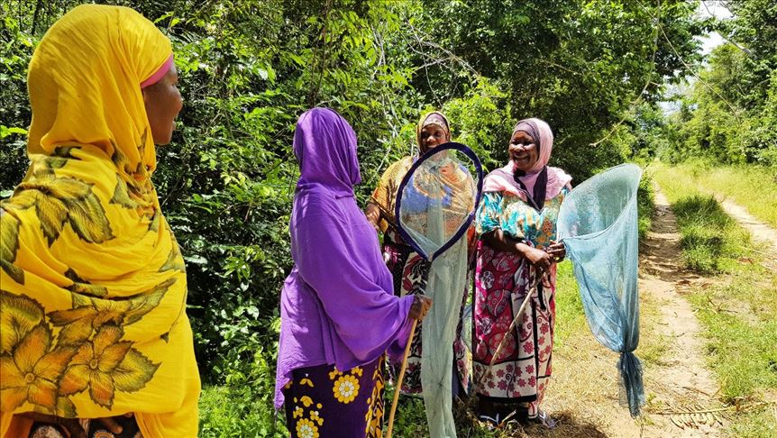 Muslim women in Kenya raise butterflies to aid forests