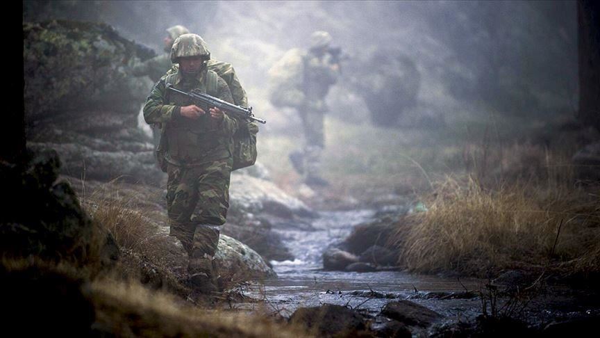 4 PKK terrorists surrender to Turkish forces
