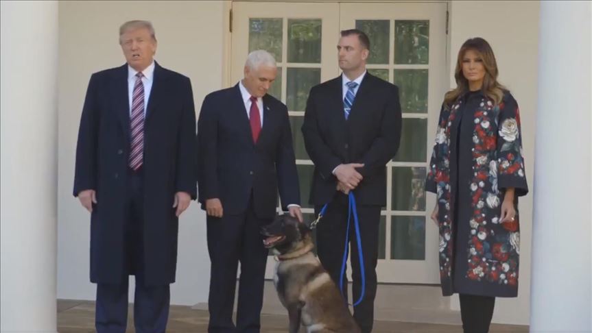 Trump Honors Military Dog Injured In Baghdadi Raid