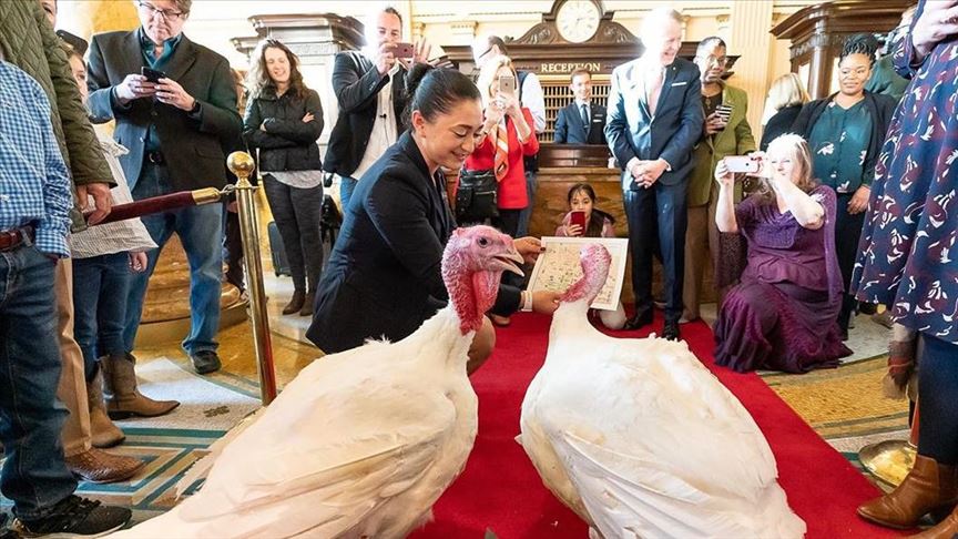 Bread and Butter named as Trump's pardon turkeys