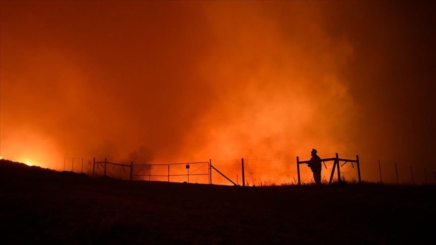 ABD'deki orman yangını büyüyor