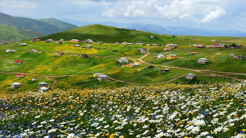 Trabzon'daki Barma Yaylası Turbalığı 'kesin korunacak hassas alan' ilan  edildi