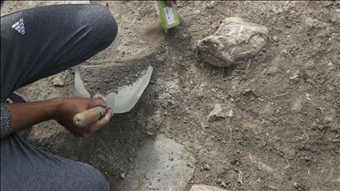 ‘Well-preserved’ 18,000-year-old puppy found in Siberia