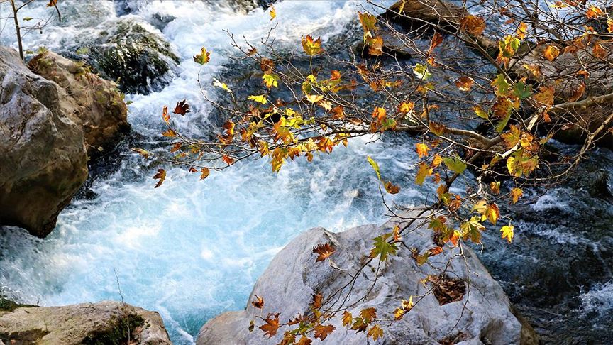 Karanlıkdere Kanyonu'nda sonbahar güzelliği