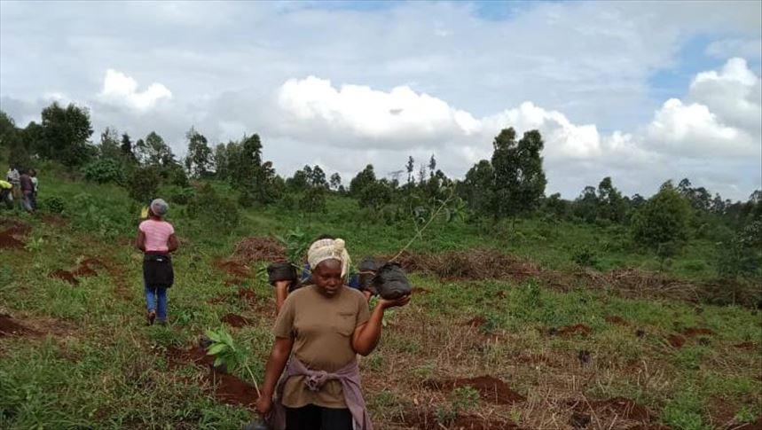 Kenya journalists plant trees to aid climate change