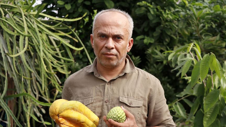 'Tropikal meyve merakı' 2,5 dönümlük sera kurdurdu