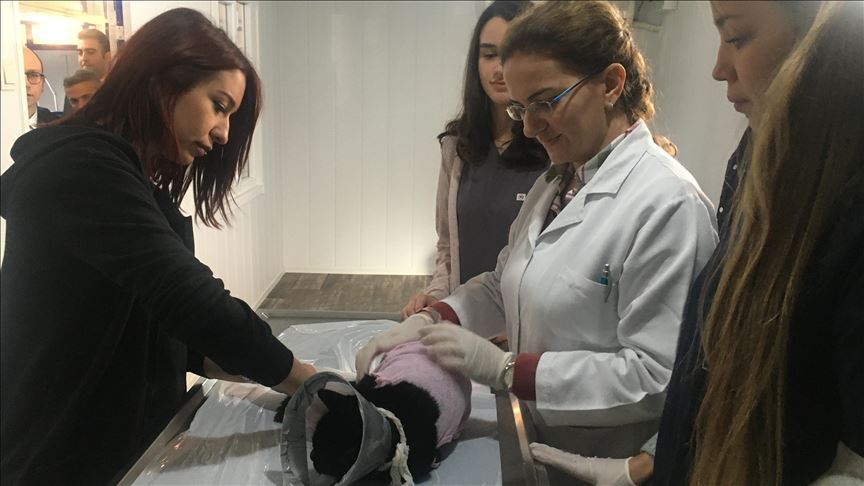 istanbul da hayvan hastanesi yeniden hasta kabulune basladi