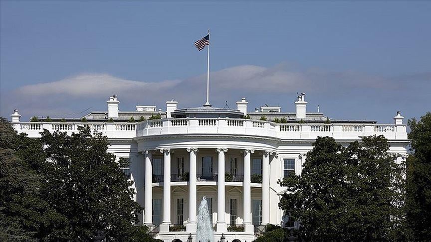 US: Kamala Harris drops out of 2020 White House race