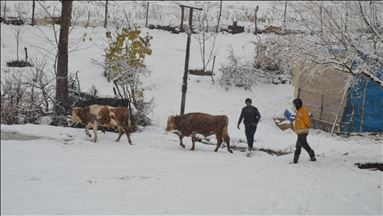 Li Wan û Mûşê rêya 45 niştewar û gundan hat girtin