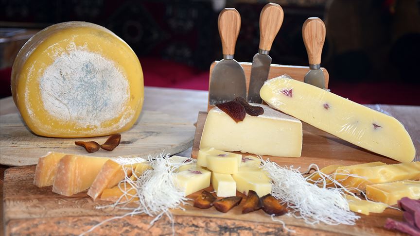 Kaşar peynirinde bol kazanç için 'geleneksel yöntemleri koruyun' önerisi