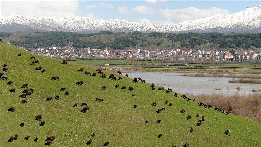 FAO: El equivalente a un campo de fútbol de tierra se erosiona cada cinco segundos