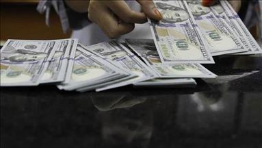 Cadangan devisa Indonesia pada November USD126,6 miliar